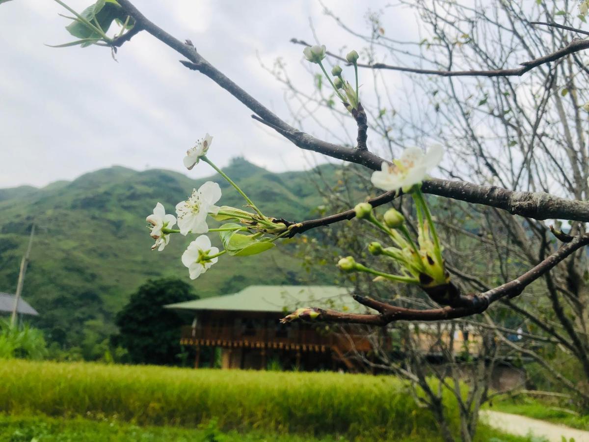 Wild Orchid- Lan Home Làng Cac Kültér fotó