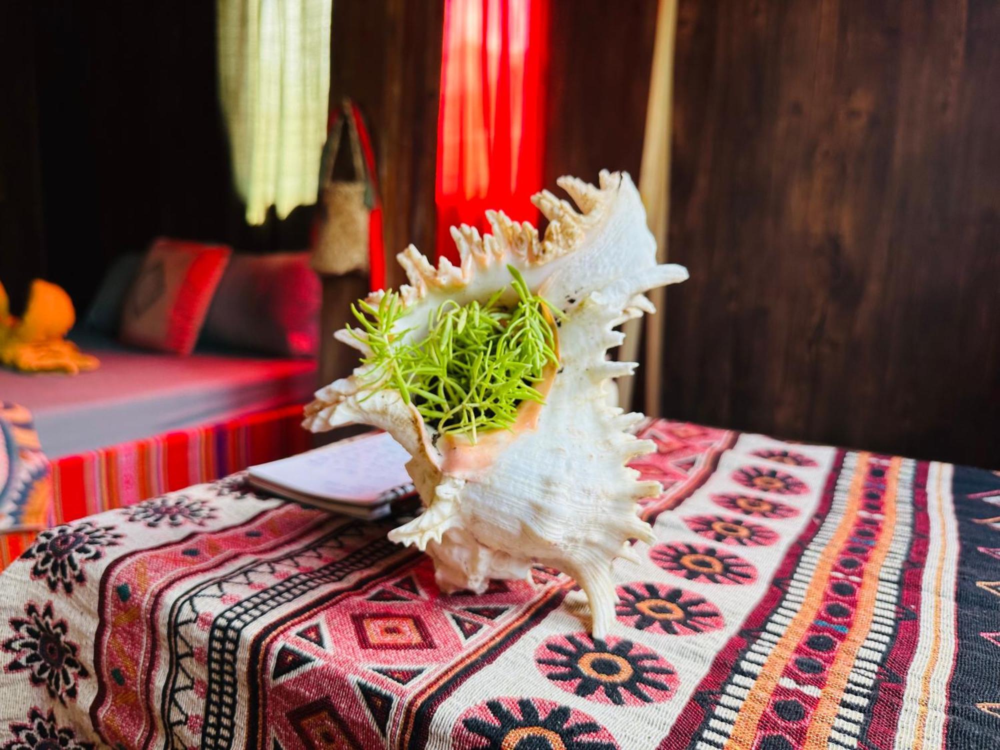 Wild Orchid- Lan Home Làng Cac Kültér fotó